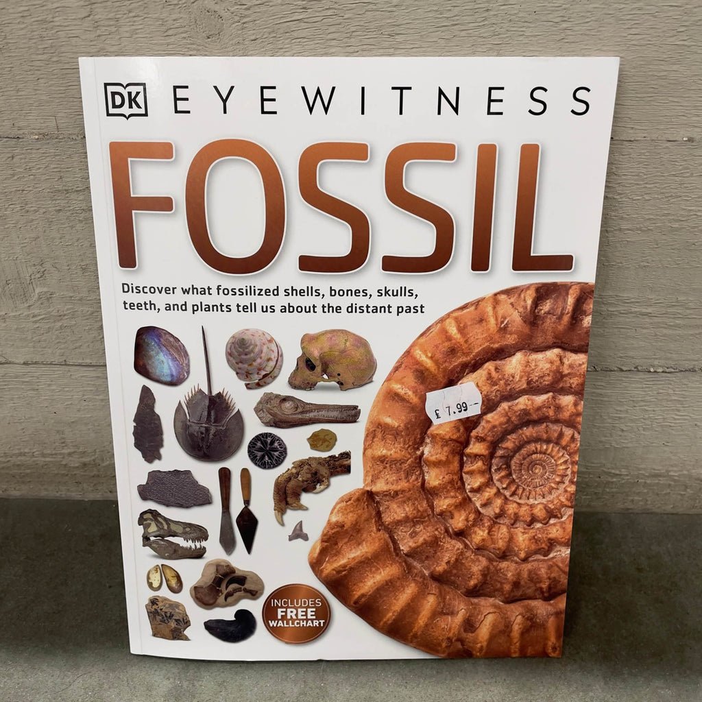 Eyewitness Fossil Book