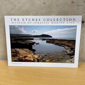 Product of the week - Kimmeridge Bay Postcards