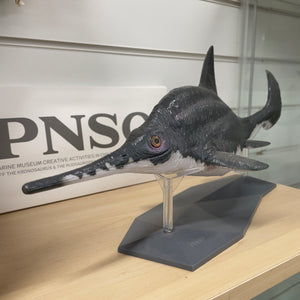 Product of the Week - PNSO Ophthalmosaurus art model