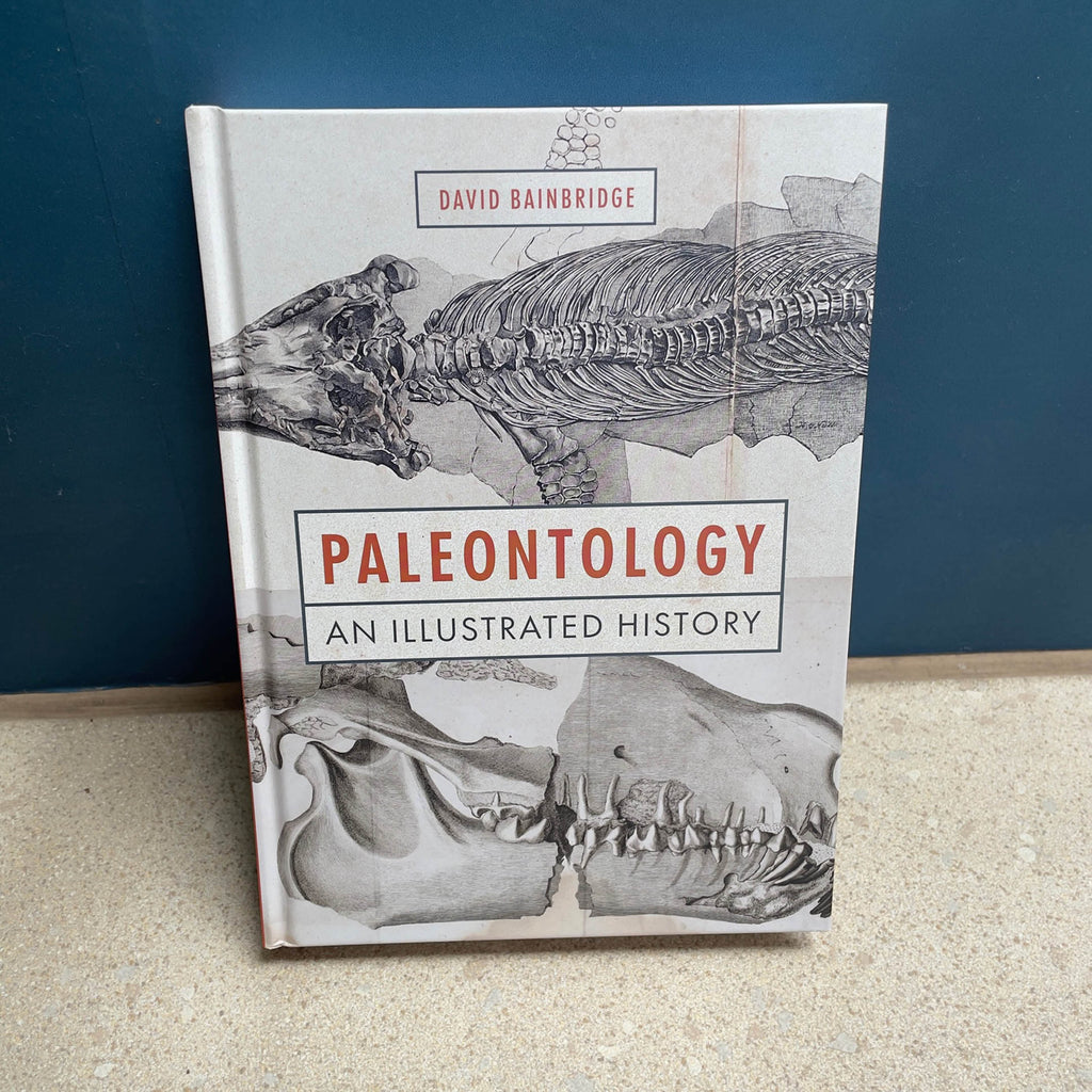 Paleontology an illustrated history book