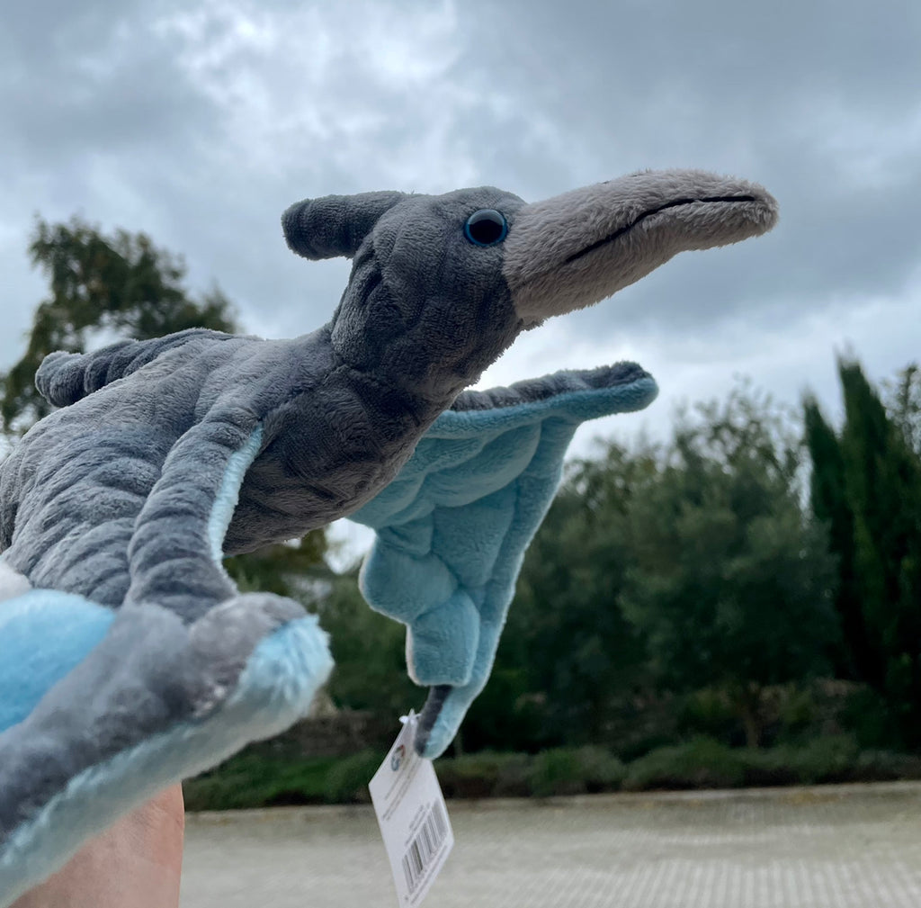 Blue Pterodactyl Stuffed Animal