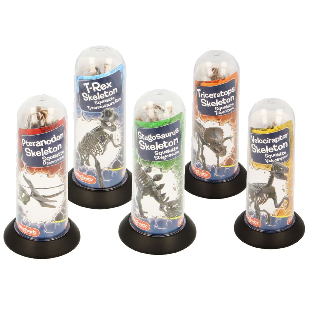 Product of the Week -  Magnoidz Dinosaur Skeletons