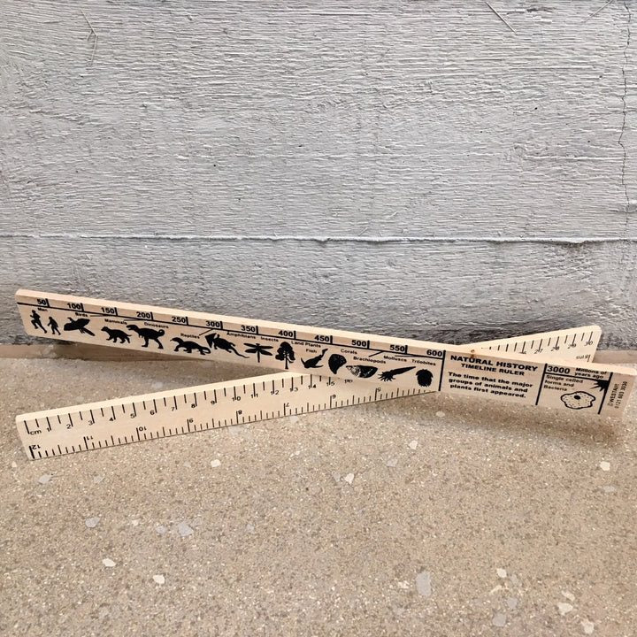 Nature Theme Ruler Product of the Week - Wooden Ruler – The Etches Collection Shop