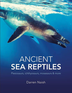 Product of the Week - Ancient Sea Reptiles Book