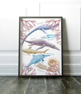 Product of the week - Marine Life Poster