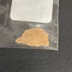Dinosaur Egg Shell Fragment