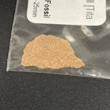 Dinosaur Egg Shell Fragment