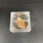 Dinosaur Egg Shell Fragment