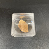 Dinosaur Egg Shell Fragment