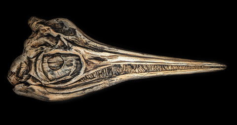 Ichthyosaur sculpture