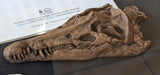 'Sea Rex' pliosaur sculpture
