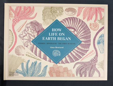 How life on Earth Began