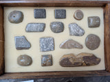 Polished Fossil and Mineral Collection