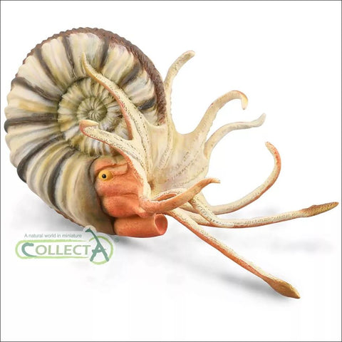 Collecta Pleuroceras Ammonite Model Toy