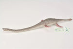 Collecta Elasmosaurus Model Toy