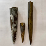 Small Belemnite