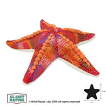 Horned Sea Star Soft Toy