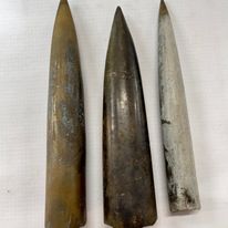 Large Belemnite