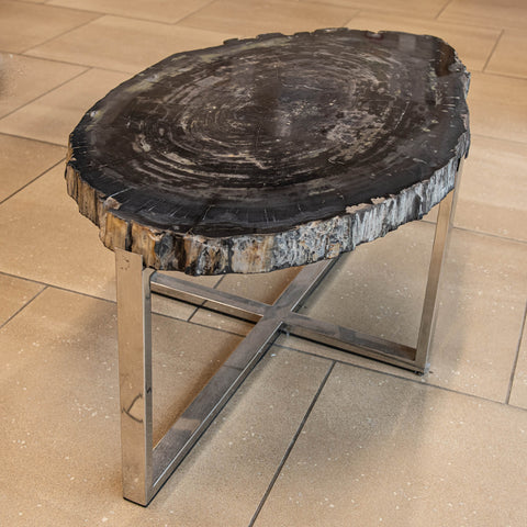 Fossilised wood coffee table