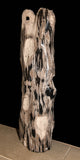 Large fossilised wood onement
