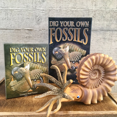 Dig Your Own Fossils - Small pack