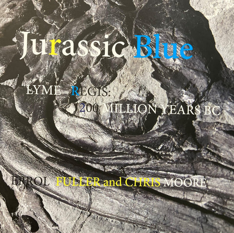 Jurassic Blue. Lyme Regis: 200 Million Years BC