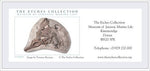 The Etches Collection  - ADULT Admission Gift Voucher