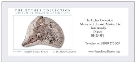 The Etches Collection  - FAMILY admission (1 adult & 3 children) Gift Voucher
