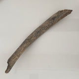 Mammoth Tusk Bark