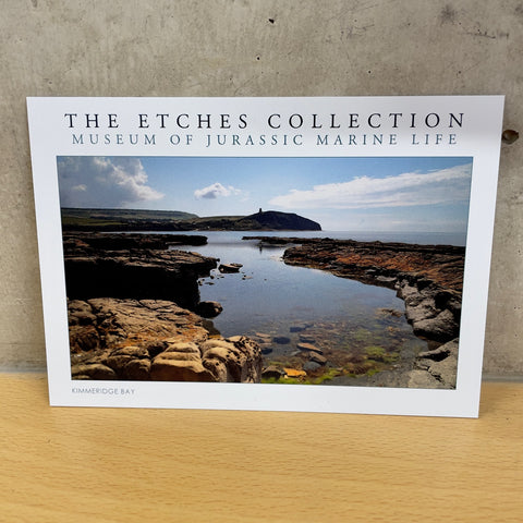 The Etches Collection Postcard - Kimmeridge Bay