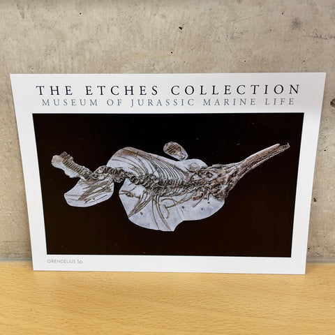 The Etches Collection Postcard - Grendelius Sp