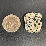 Dalmatian Jasper