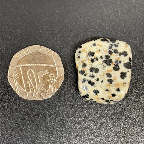 Dalmatian Jasper