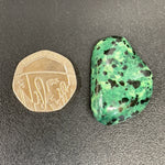 Green Dalmatian