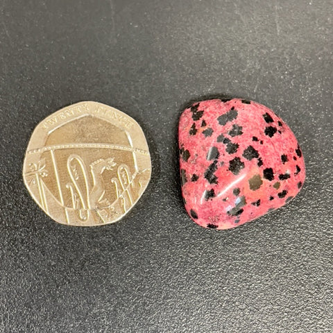 Red Dalmatian