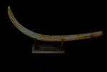 Mammoth tusk  [ Ref FG7  ]