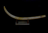 Mammoth tusk  [ Ref FG7  ]