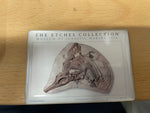 The Etches Collection Ichthyosaur Fridge Magnet