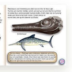 The Study of Fossils