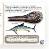 The Study of Fossils