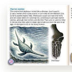 The Study of Fossils
