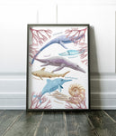 A3 Poster Print - Jurassic Marine Life