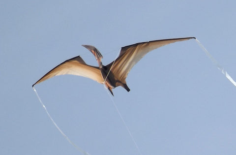 Pterodactyl Dinosaur Jurassic Kite (P&P to the UK Only Included)