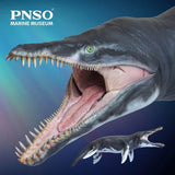 PNSO Marine Museum Jeff the Kronosaurus Art Model