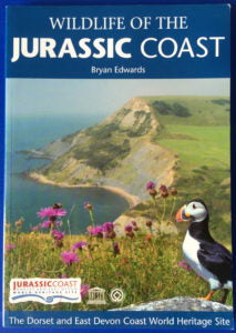 Wildlife of the Jurassic Coast by Bryan Edwards