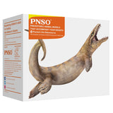 Rare PNSO Boxed Paulwin the Dakosaurus (13cms) with Hinged Jaw