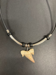 Fossil Sharks Tooth Necklace
