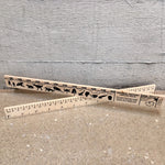 Natural History Dinosaur / Evolution Timeline Ruler (30cm)